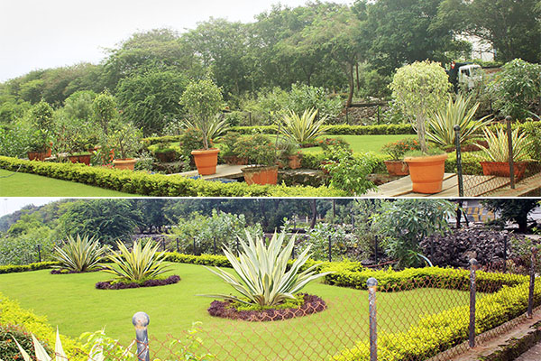 Garden Beautification and Island Beautification in Thane